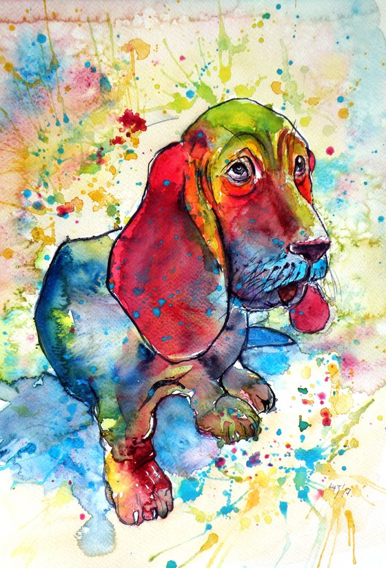 Cute basset hound