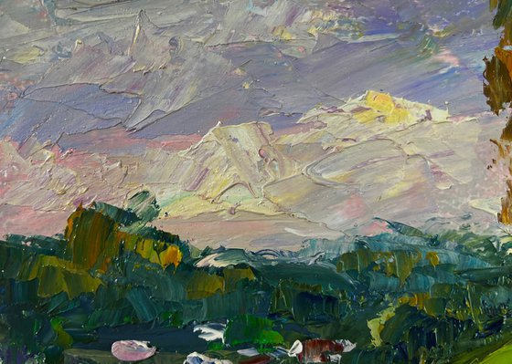 Birch Grove in the Light of the Morning Sun