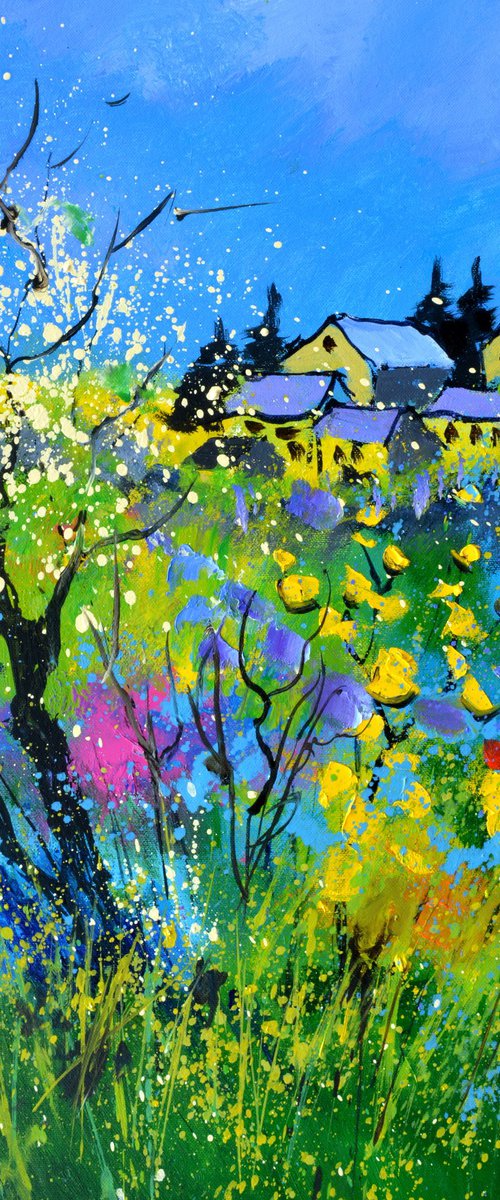 Colourful spring by Pol Henry Ledent