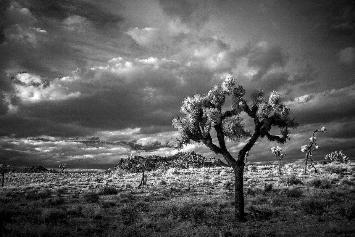 Sunset with Winter Storm in the Mojave Desert II by Mark Hannah