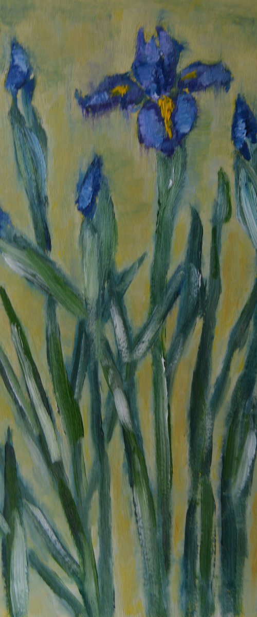 Irises by Elena Zapassky