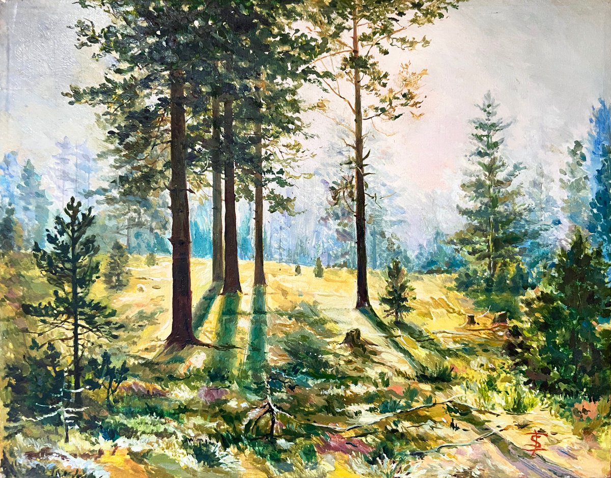 Impressionistic Landscape Oil Painting By Elvira Sesenina, 13 X 11, Fog In The Forest, Original Artwork