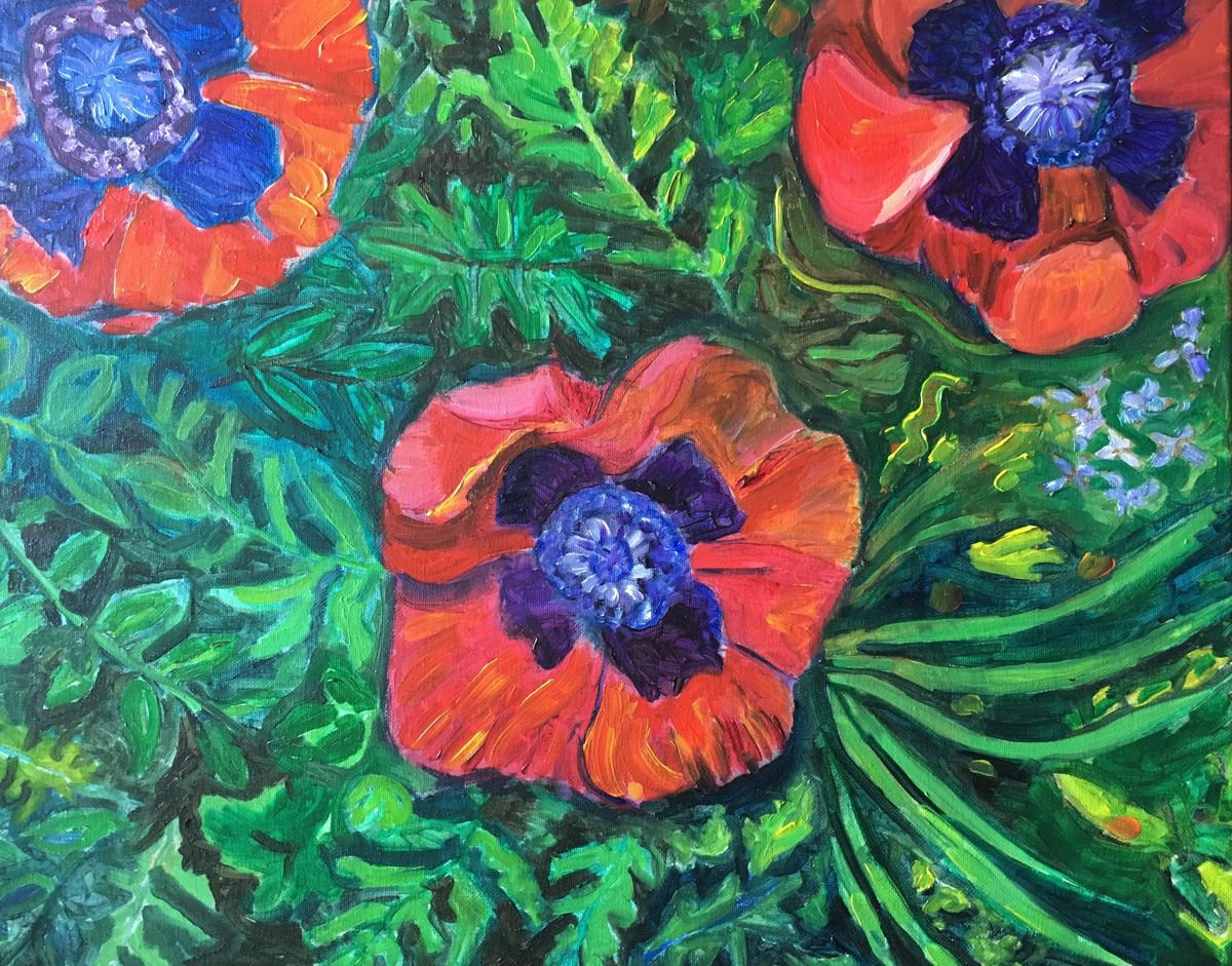 Red Poppies by Lydia Knox