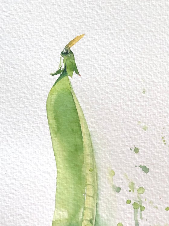 Peas from my garden 2022. Original watercolor artwork.
