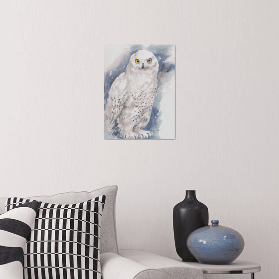 Snow Owl White Vida