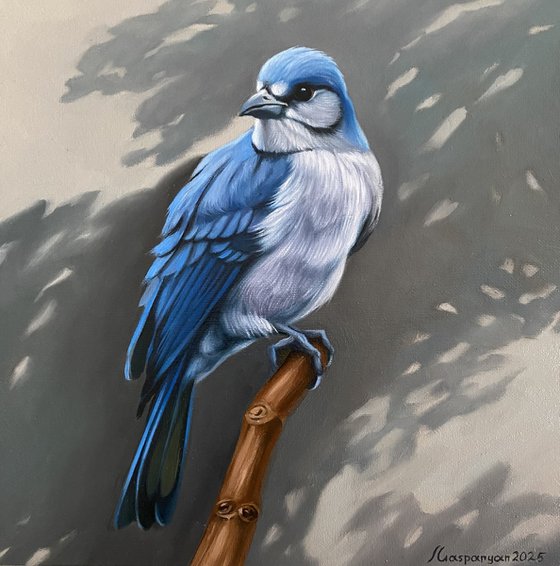 Blue Jay’s Vigil
