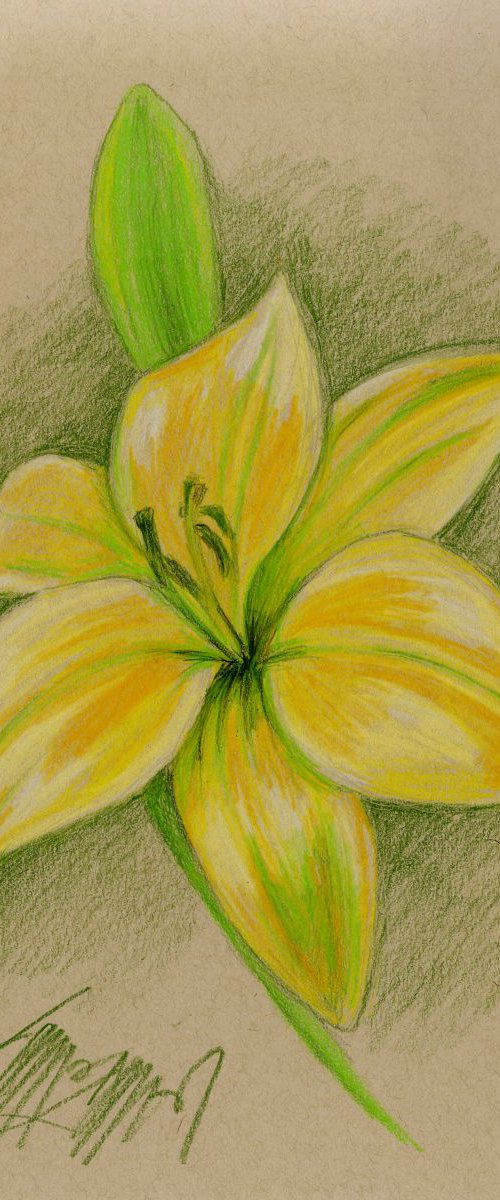 Yellow Lily by James Simon