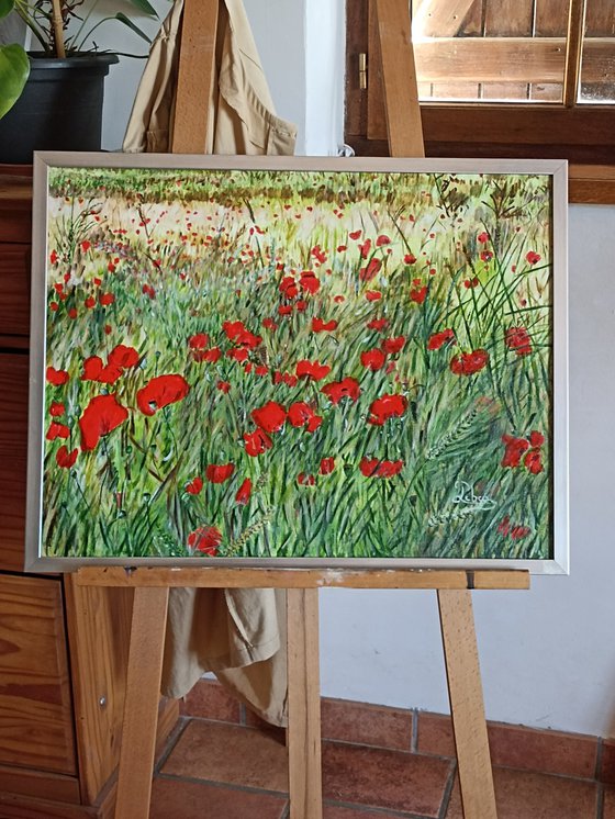 Red poppies flowers