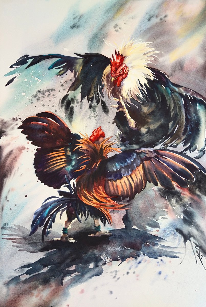 Fight - battle of two roosters by Olga Bezlepkina