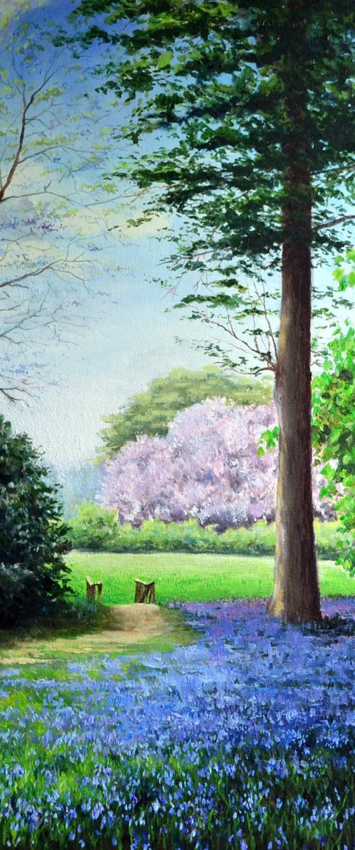 Spring in the Woods by JON PAUL WILSON