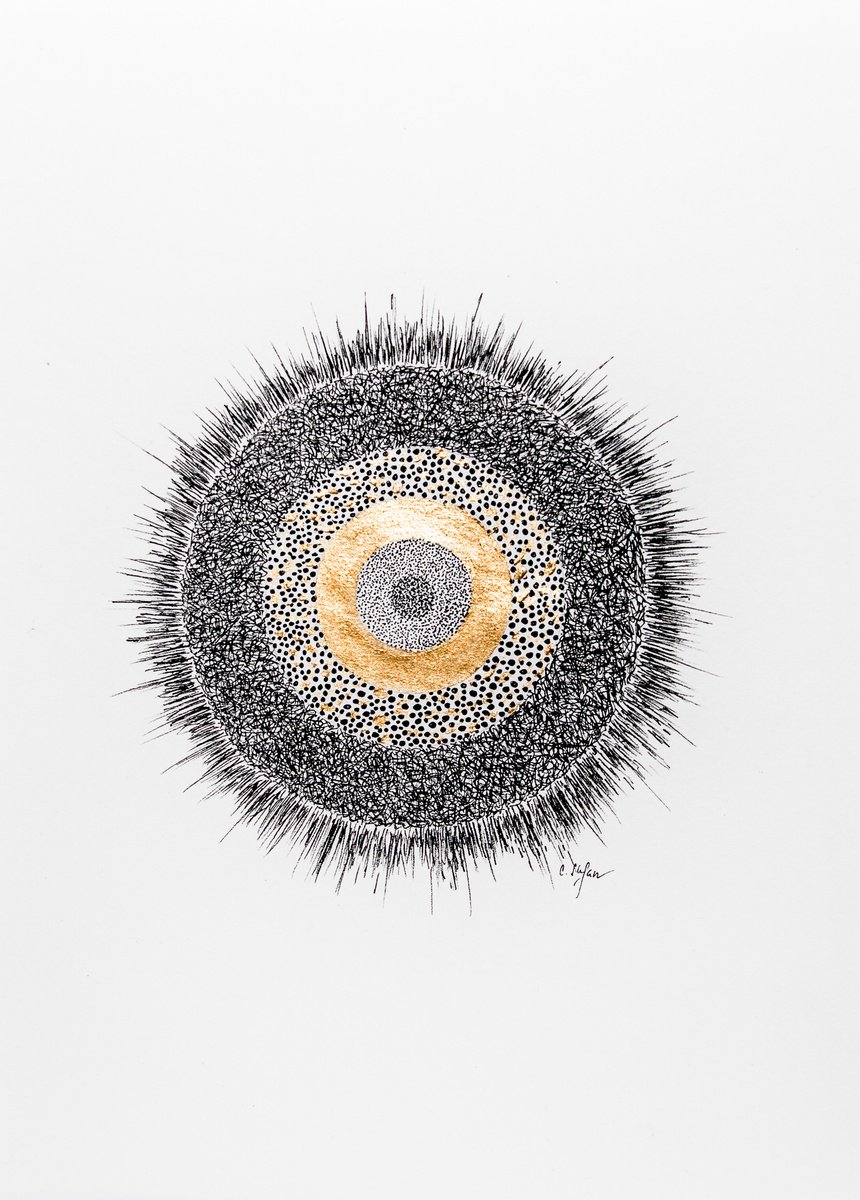 The Circle - mixed media art by Cristina Stefan
