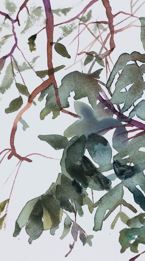 Branch Study No. 1 by Elizabeth Becker