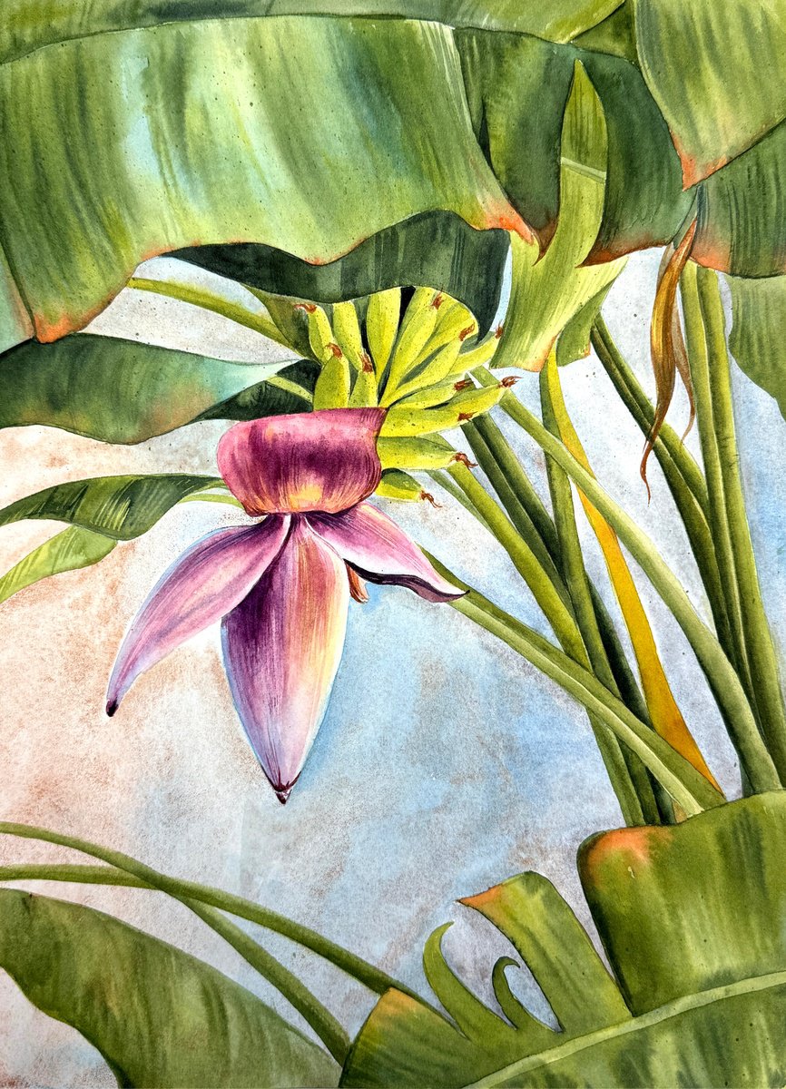 Photorealistic Watercolour , Tropical World Painting By Yuliia Prokopchuk, 10 X 14, Artwork For Sale On Artfinder