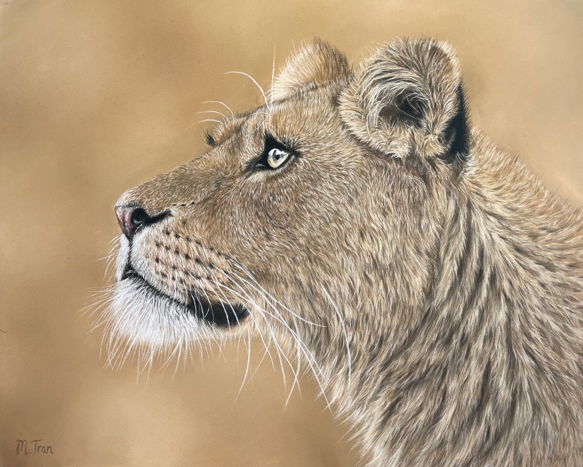 Photorealistic Animal Pastel Drawing By Maria Tran, 12 X 9", Elegance, Original Artwork