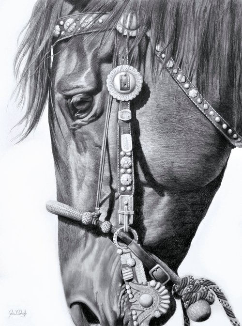 Concho by Maria D'Angelo