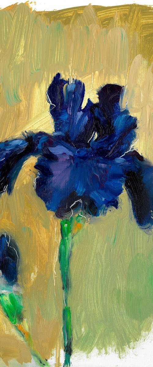 Oil Painting of Iris Flower on Fine Art Paper - Botanical Artwork - Original Floral Art by Anna Lubchik