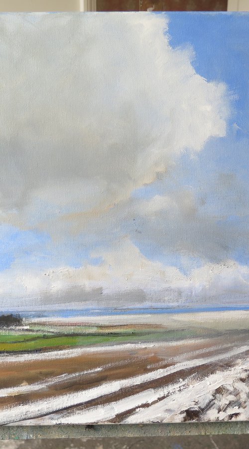 Snow, Jan 8 by Malcolm Ludvigsen