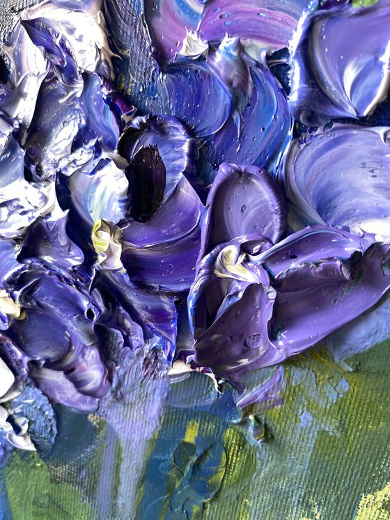 Hydrangea Study II