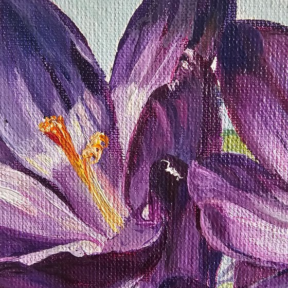 Spring. Chance Encounter.