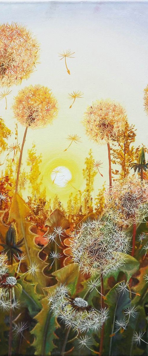 Dandelions in the Sun by Oleg Riabchuk