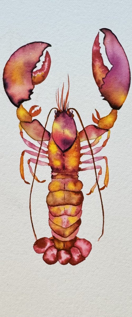 Original Watercolour Lobster by Kate Mac