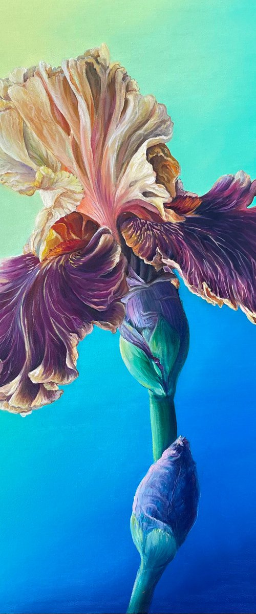 Colors of Ukraine by Olena Hontar