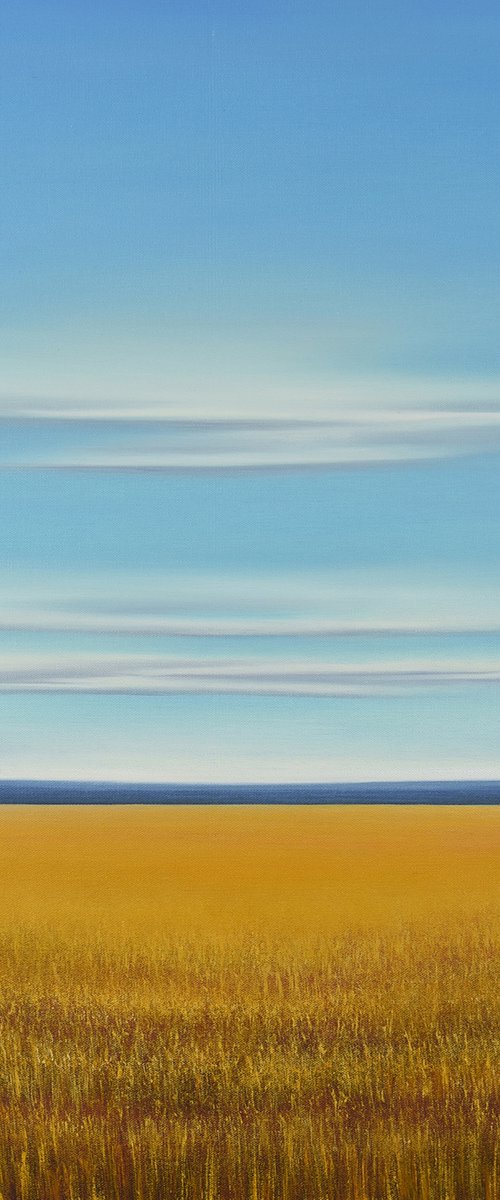 Golden Wheat Field - Blue Sky Landscape by Suzanne Vaughan