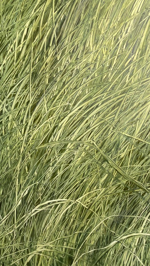 Grass by Maija Nochevnaya