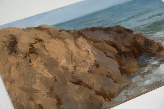 Sea cliffs at summer solstice