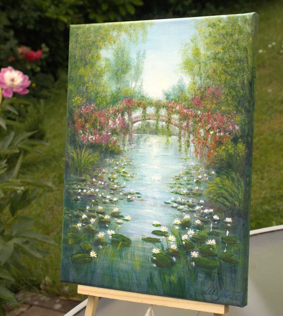 Water lily pond