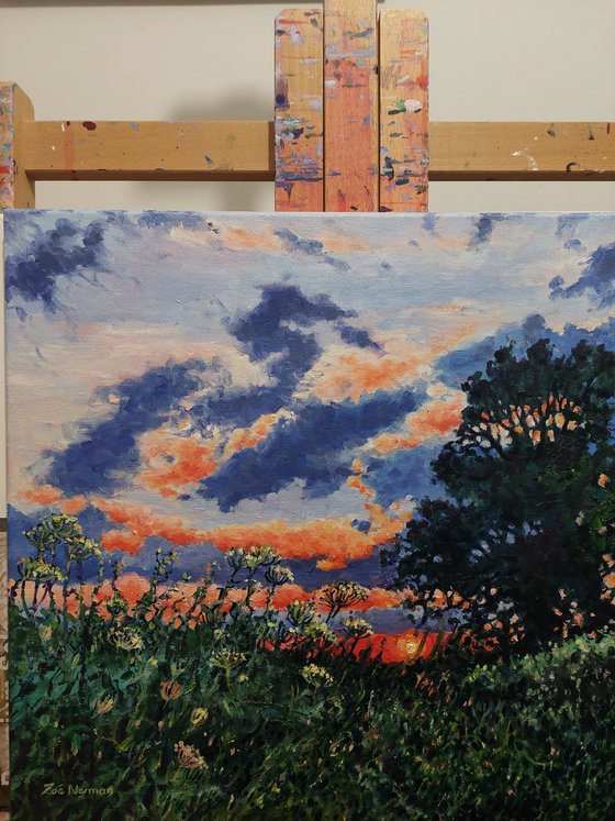 Evening Light - Sunset