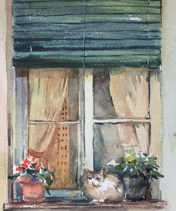 Passing afternoon