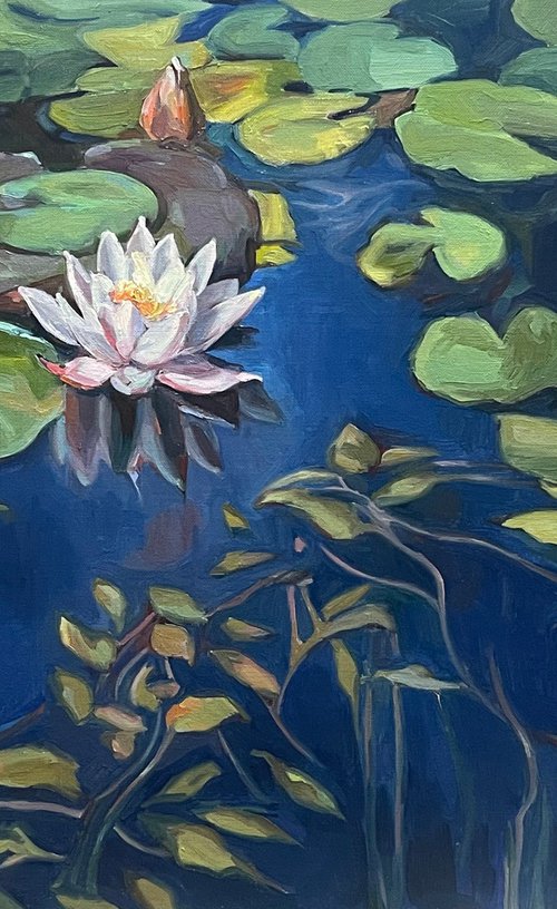 Water lilies at sunset 72.2 cm/50 cm (2022) by Guzel Min