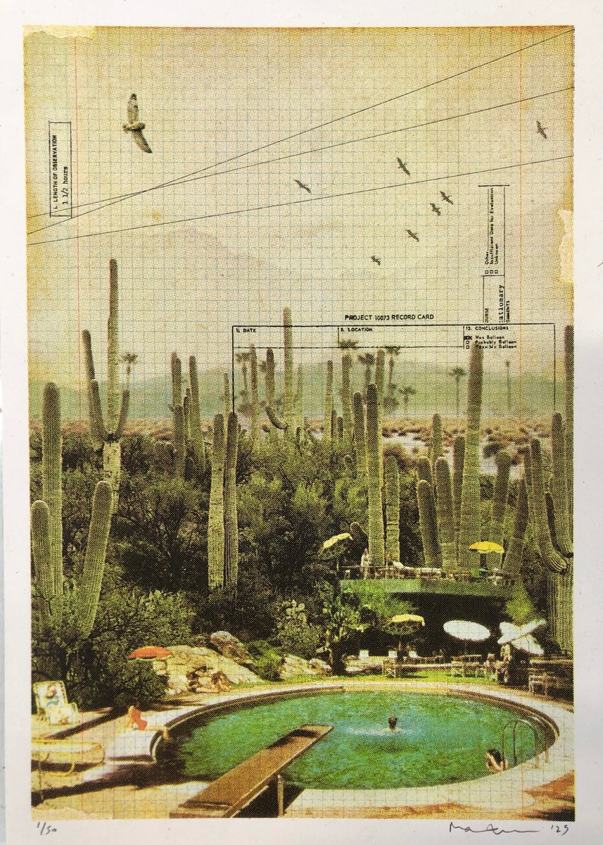 Photorealistic Landscape Screenprint By Maxine Gregson, 8 X 12", At The Foot Of The Cacti Mini, Original Artwork