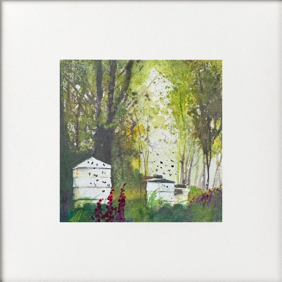 Bee hives in the orchard