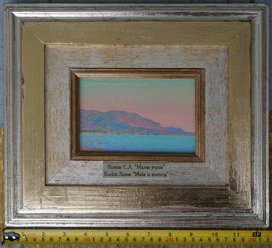 Malia in the morning