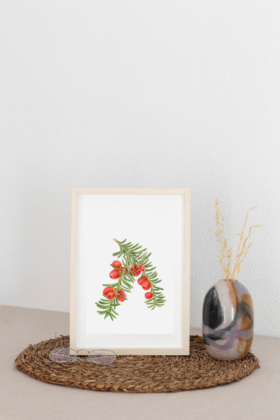 Berry Yew Postcard