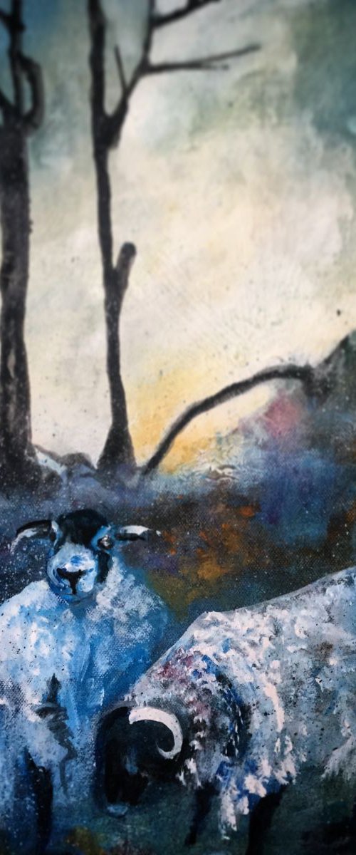 Sheep in winter by Carole Ann Hall