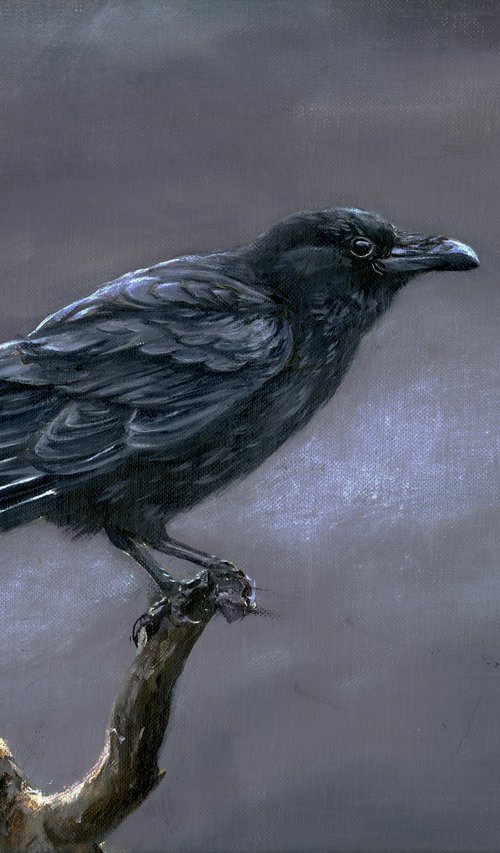 Crow by Una Hurst