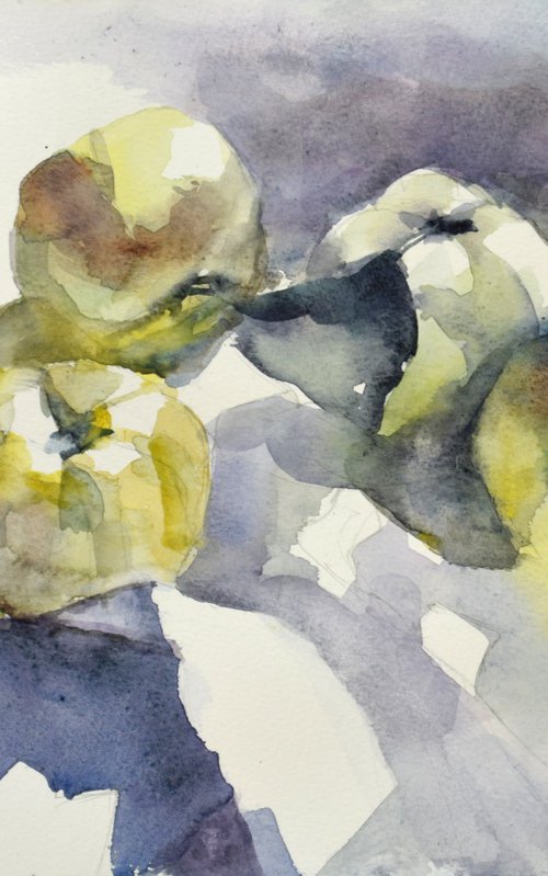 4 quinces II by Goran Žigolić Watercolors