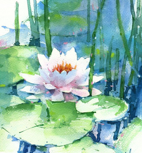 Water Lily Serenity