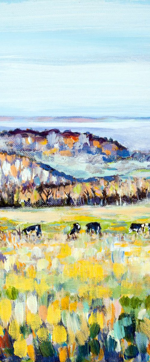 MISTY VALLEY VIEW by Diana Aungier-Rose