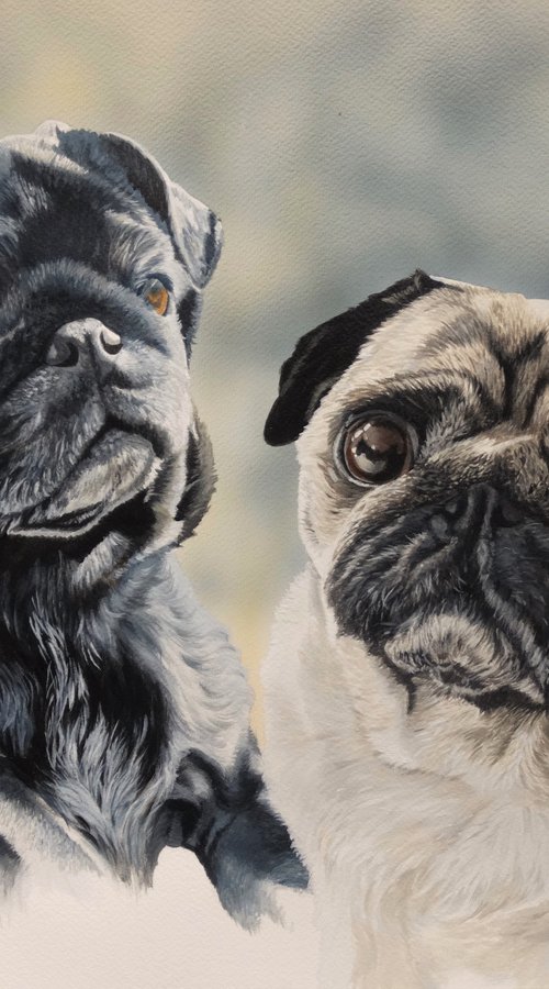 Monkey and Mildred by Julian Wheat