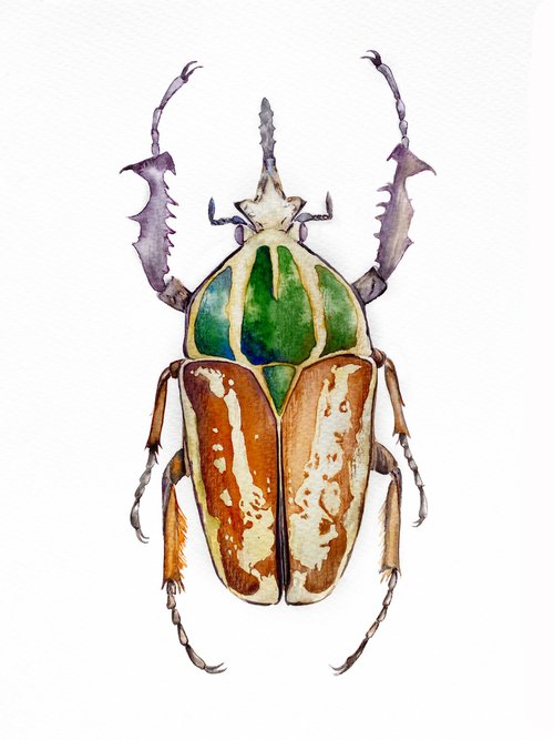 Mecynorhina ugandensis, beetle in the sun's rays in bright yellow, orange, green colour 3 by Tetiana Savchenko