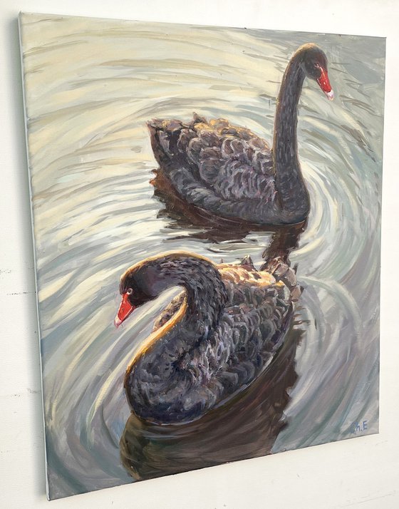 "Black swans"