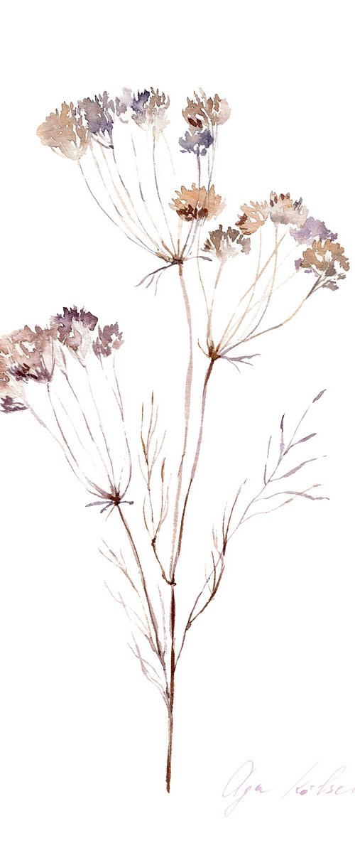 Dried Grass Collection 1 by Olga Koelsch