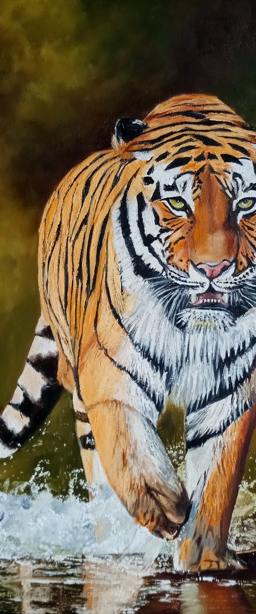 Tiger on the Prowl by Ira Whittaker
