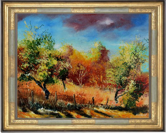 Orchard  in autumn