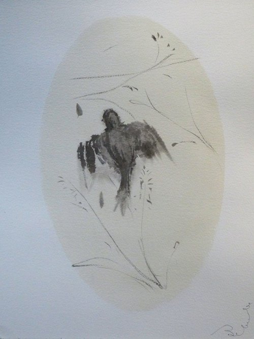 Birds of Carros #31, 31x41 cm by Frederic Belaubre