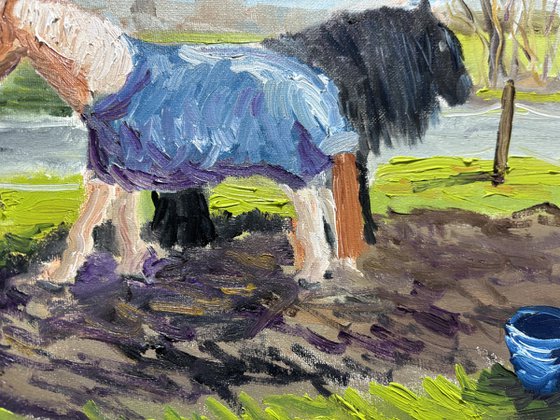 Grazing Horses in the Dutch Countryside